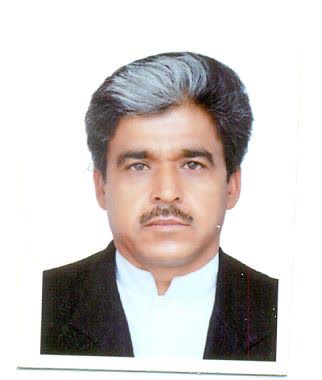 صندوق شاهد کریم داودی 