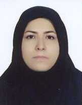 صندوق شاهد سیده زهراچاوشی