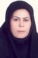 صندوق شاهد محبوبه طالبی قهنویه 