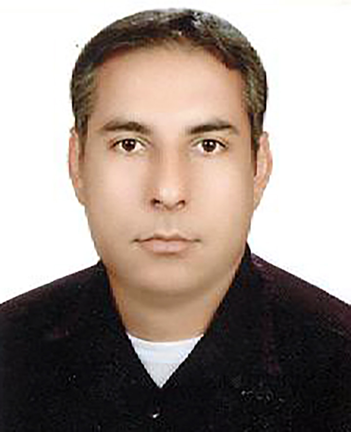 صندوق شاهد سید هادی موسوی