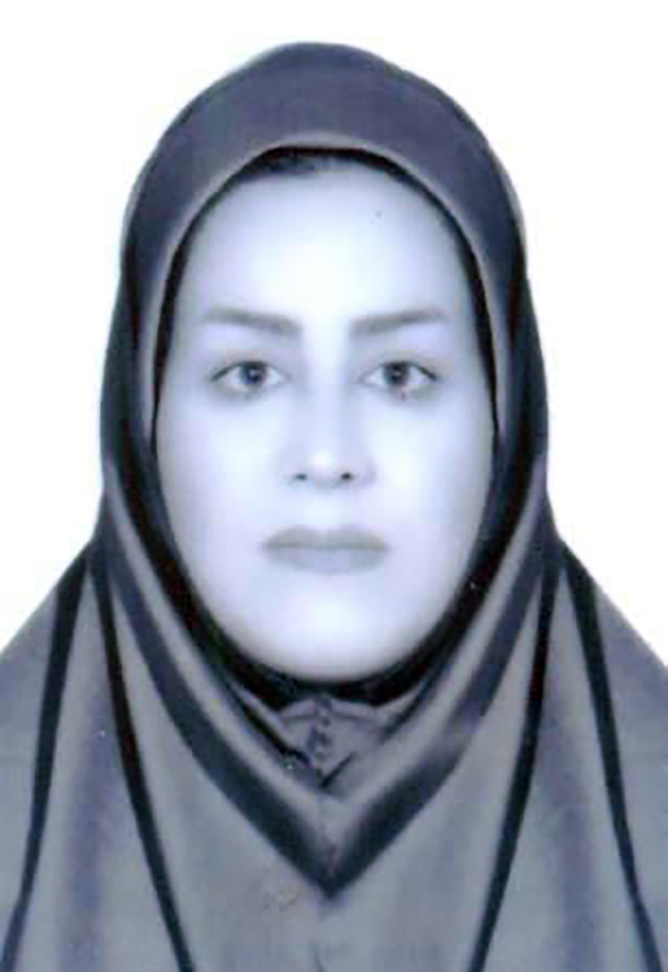 صندوق شاهد خدیجه قدمی