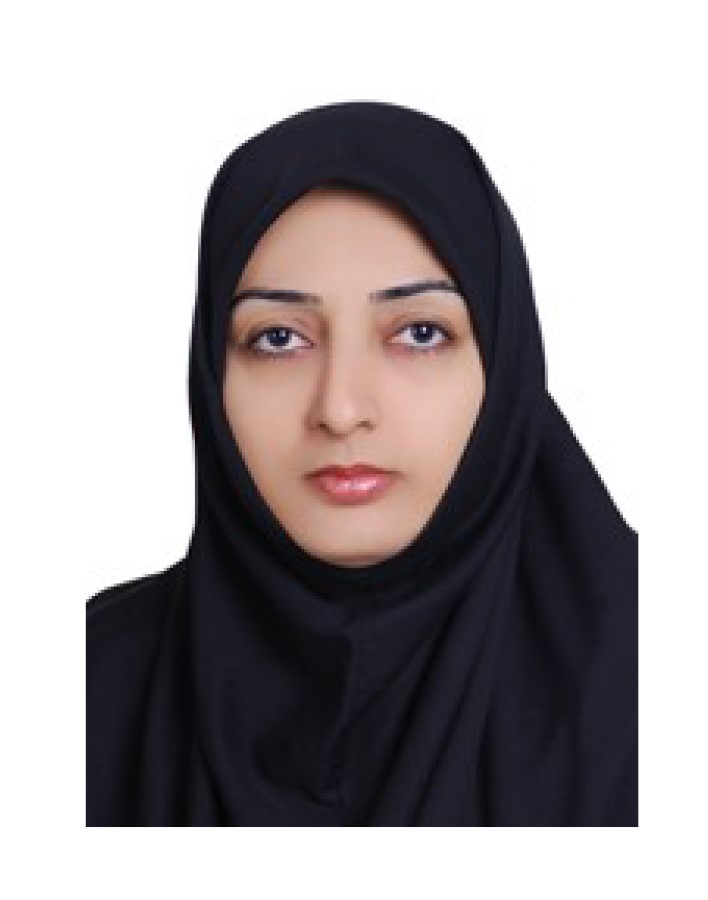 صندوق شاهد سیده معصومه میر سلیمانی