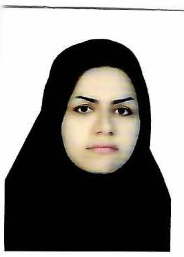 صندوق شاهد اعظم عابدینی