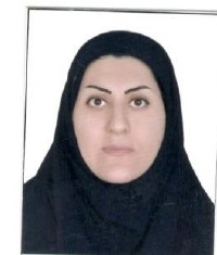 صندوق شاهد محبوبه عابدی 