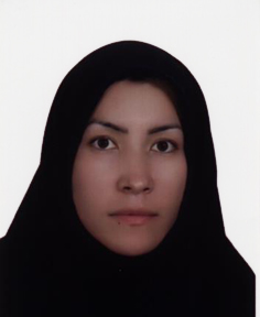 صندوق شاهد انسیه فغانی