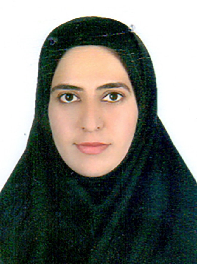 صندوق شاهد مرضیه رجبی