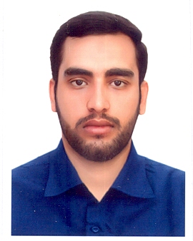 صندوق شاهد محمد علی حسینی