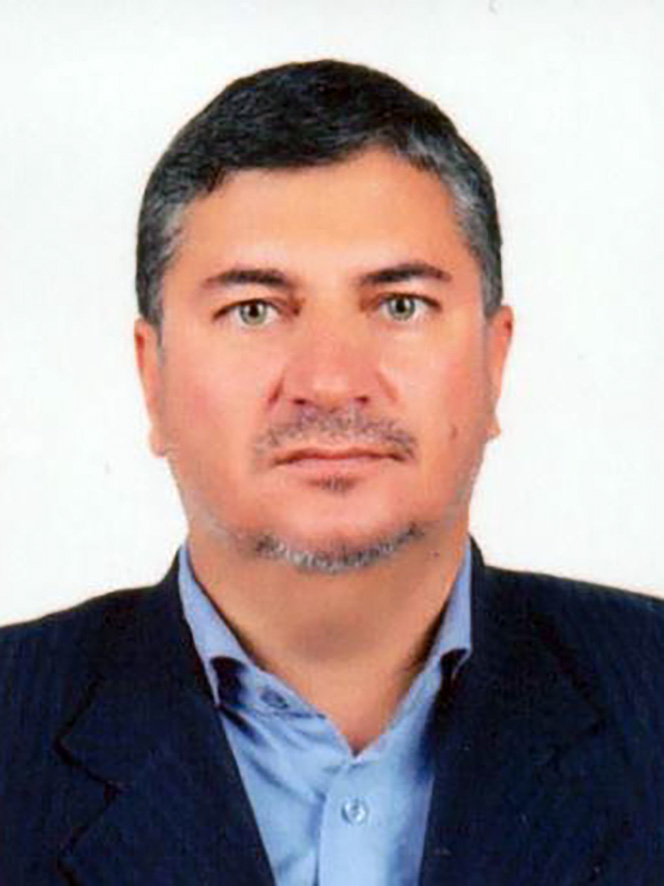 صندوق شاهد یحیی شیخ حسینی