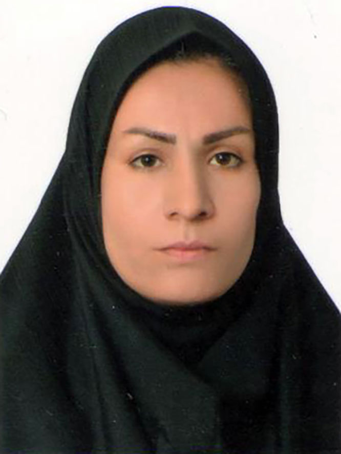 صندوق شاهد سمیه فتح اللهی