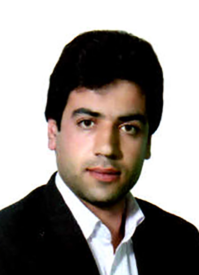 صندوق شاهد هومن میرزاده