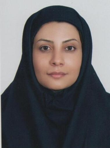 صندوق شاهد سعیده مهرحقی 