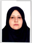 صندوق شاهد نیلوفر طالبی