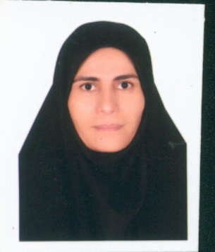 صندوق شاهد زهرا حیدری