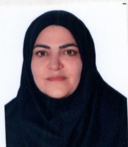 صندوق شاهد حمیده برجی پور