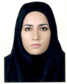 صندوق شاهد فاطمه خمسلویی