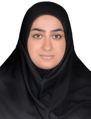 صندوق شاهد سعیده رستمی نگار