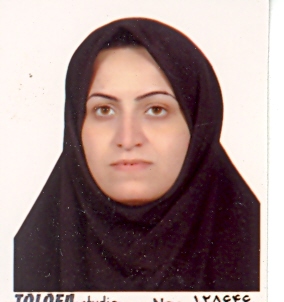 صندوق شاهد اعظم عرب بافرانی