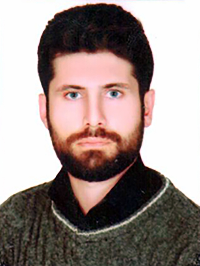 صندوق شاهد سعید جمالی 