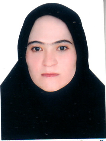 صندوق شاهد لیلا شفیعی شیشوان