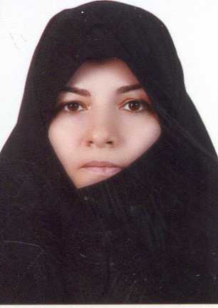 صندوق شاهد منصوره ارتفاع 