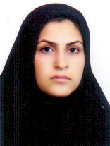 صندوق شاهد هاله پناهی 