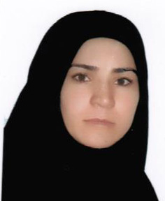 صندوق شاهد سکینه  نیکو