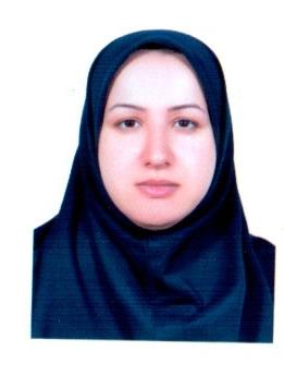 صندوق شاهد فرزانه رجبی